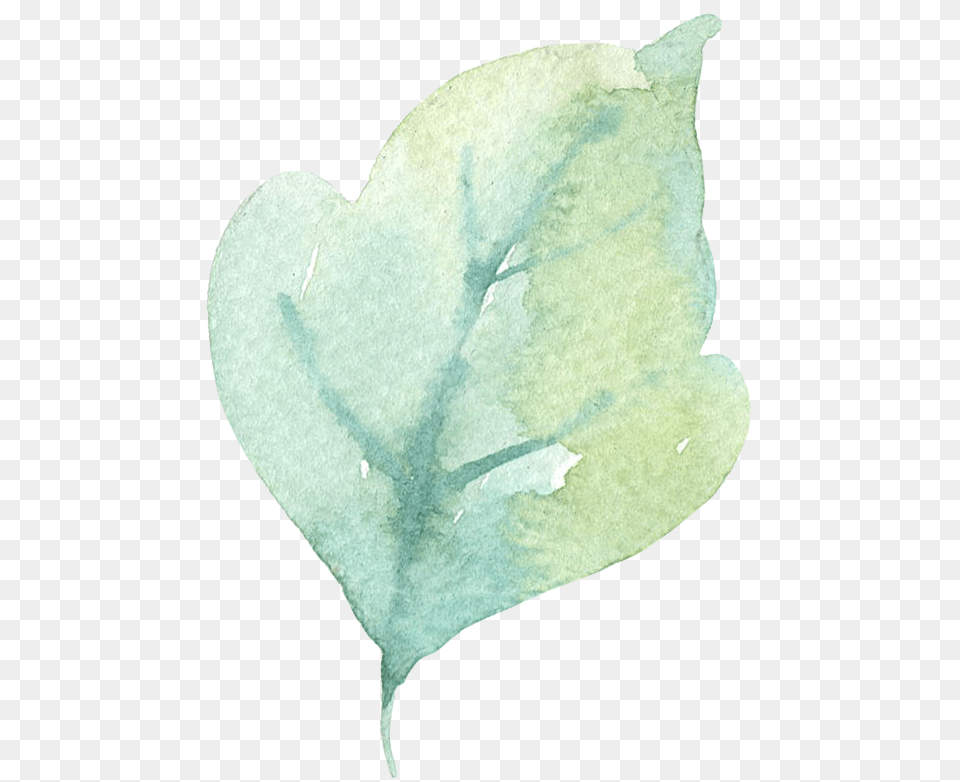 Lily Of The Valley, Leaf, Plant, Animal, Fish Png