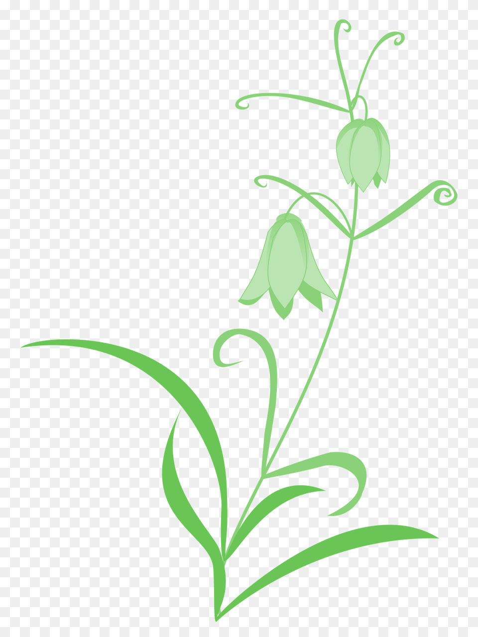Lily Of The Valley Clipart, Flower, Plant, Art, Floral Design Free Png Download