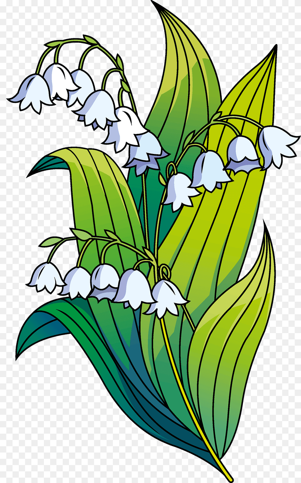 Lily Of The Valley Clipart, Flower, Plant, Amaryllidaceae, Leaf Free Png Download