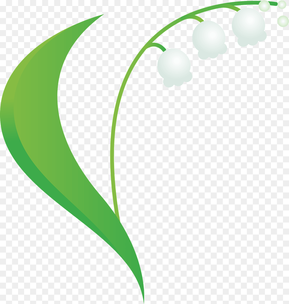 Lily Of The Valley Clipart, Art, Outdoors, Night, Nature Free Transparent Png