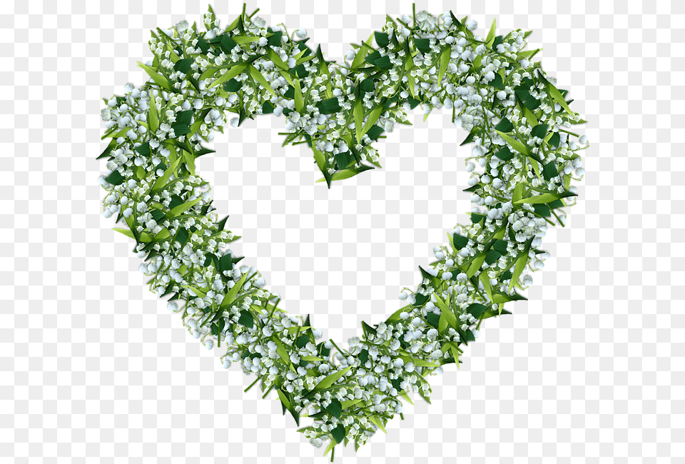 Lily Of The Valley Clipart Lillie Heart, Plant, Leaf, Green Free Transparent Png