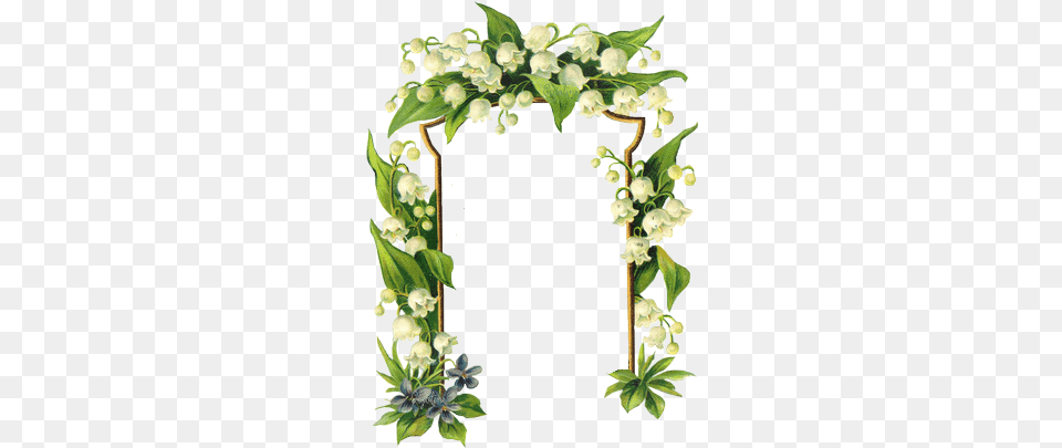 Lily Of The Valley Flower Border, Plant, Art, Floral Design, Graphics Free Png