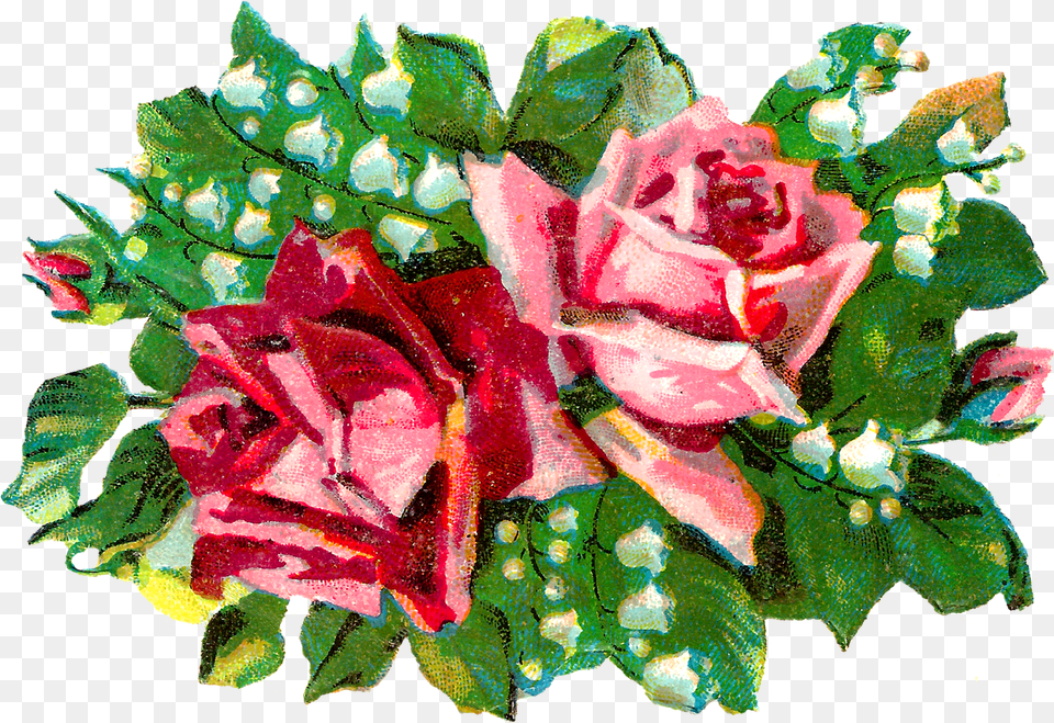 Lily Of The Valley Flower Clip Art Hybrid Tea Rose, Plant, Leaf, Flower Bouquet, Flower Arrangement Png