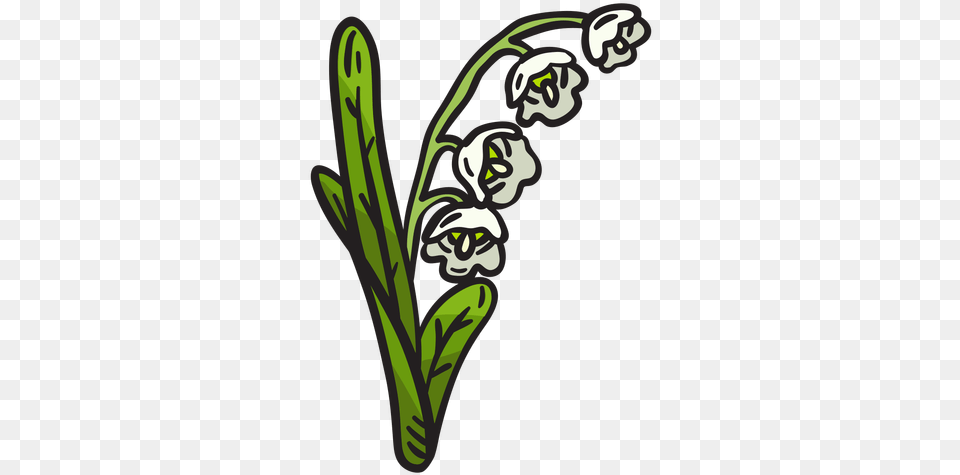 Lily Of The Valley Flower Illustration Lirio De Los Valles Logo, Plant, Face, Head, Person Free Png