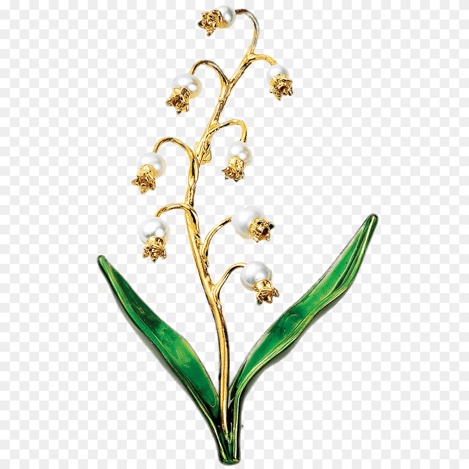 Lily Of The Valley Jewelry, Flower, Plant, Orchid, Accessories Free Png