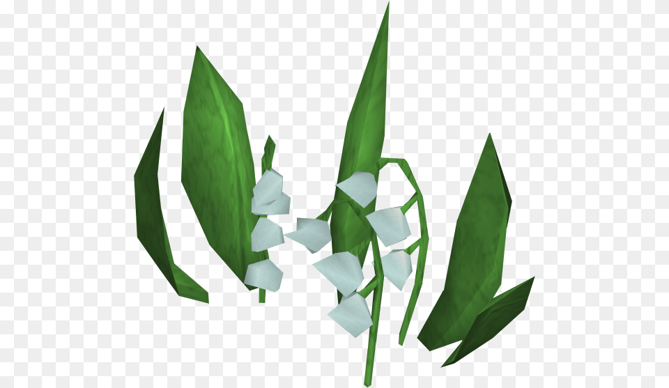 Lily Of The Valley Transparent, Flower, Green, Leaf, Plant Free Png Download