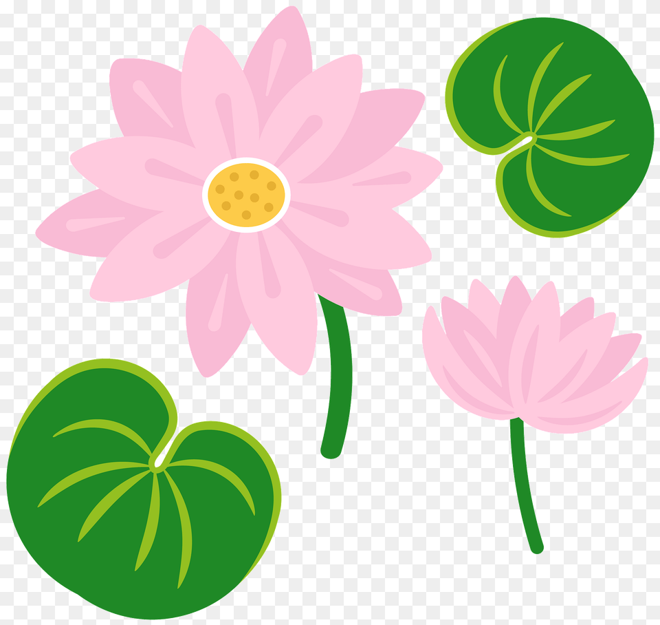 Lily Pad Clipart, Dahlia, Daisy, Flower, Plant Png Image