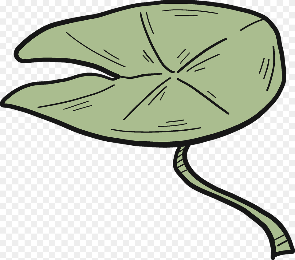 Lily Pad Clipart, Leaf, Clothing, Hat, Plant Png