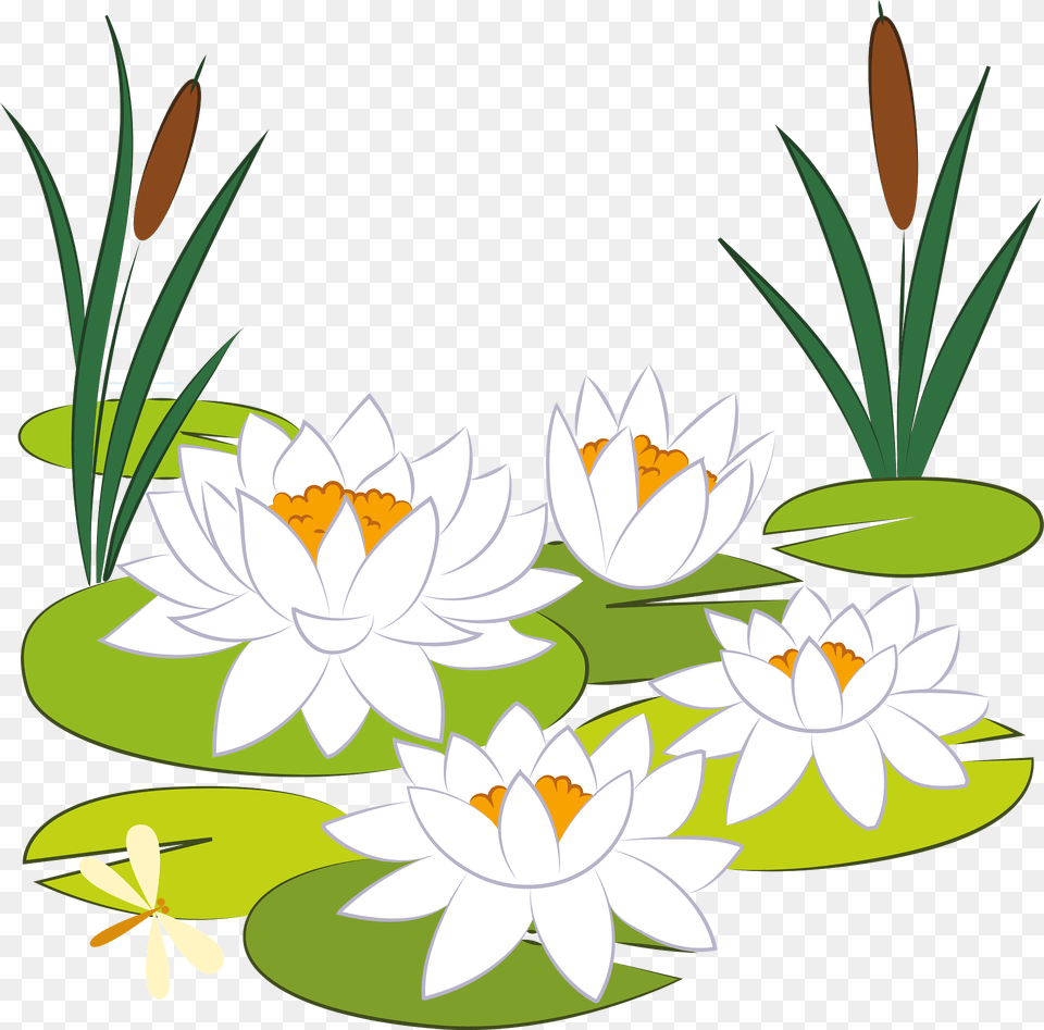 Lily Pad Clipart, Flower, Plant, Pond Lily, Nature Free Transparent Png