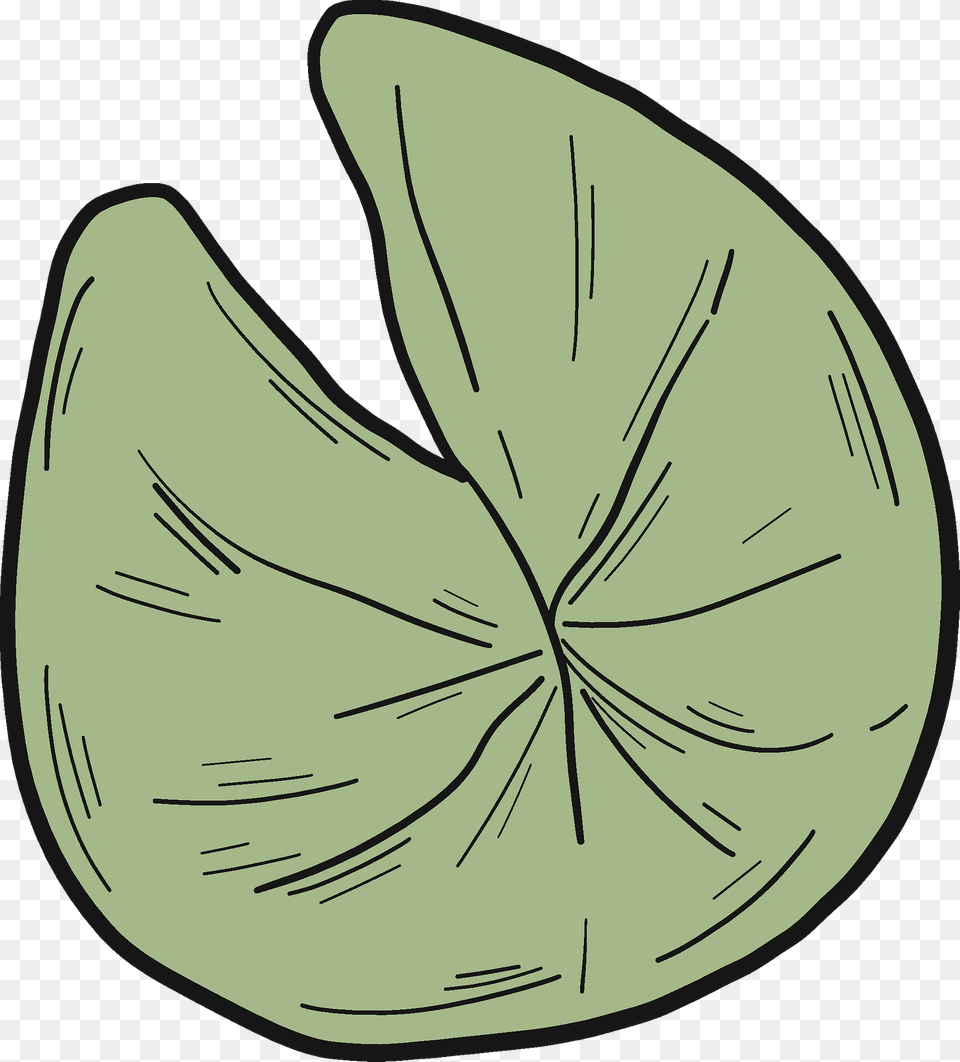 Lily Pad Clipart, Flower, Leaf, Petal, Plant Png Image