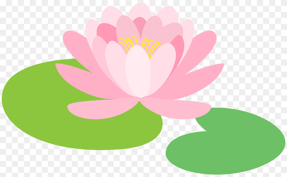 Lily Pad Clipart, Flower, Plant, Pond Lily, Chandelier Png