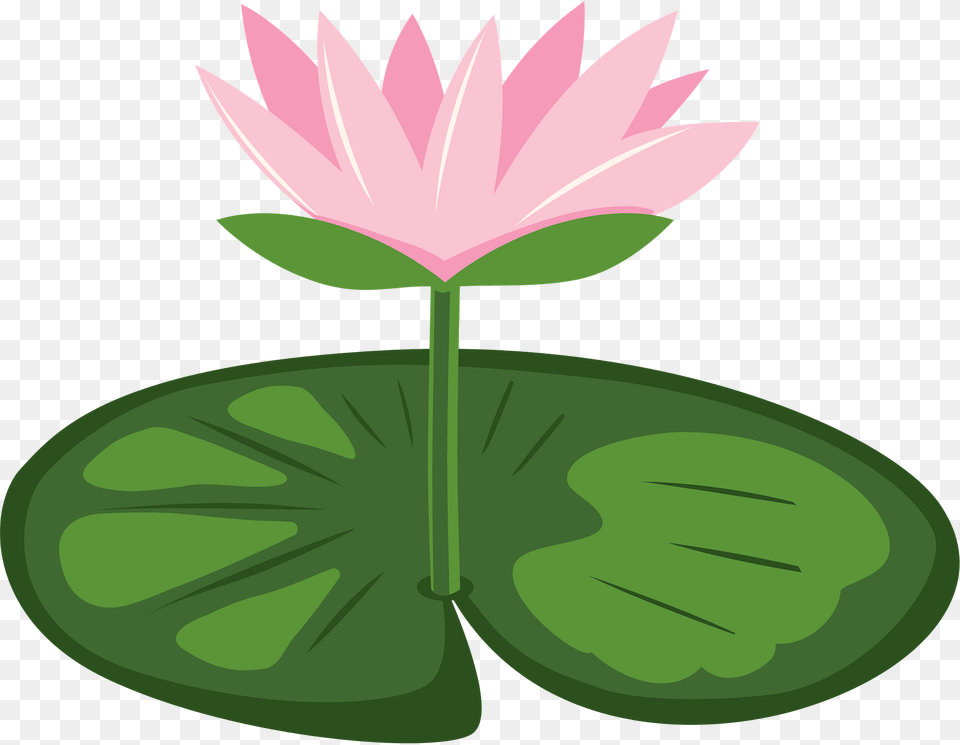 Lily Pad Clipart, Flower, Plant, Pond Lily Png Image