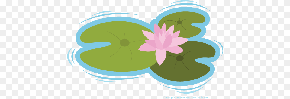 Lily Pad Clipart Cartoon, Flower, Plant, Pond Lily, Animal Free Png Download