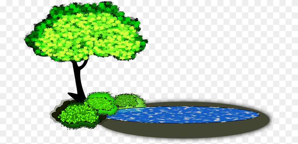 Lily Pad Clipart Pond, Tree, Vegetation, Green, Plant Free Png