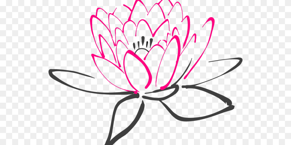 Lily Pad Clipart Vector, Dahlia, Flower, Plant, Petal Png Image