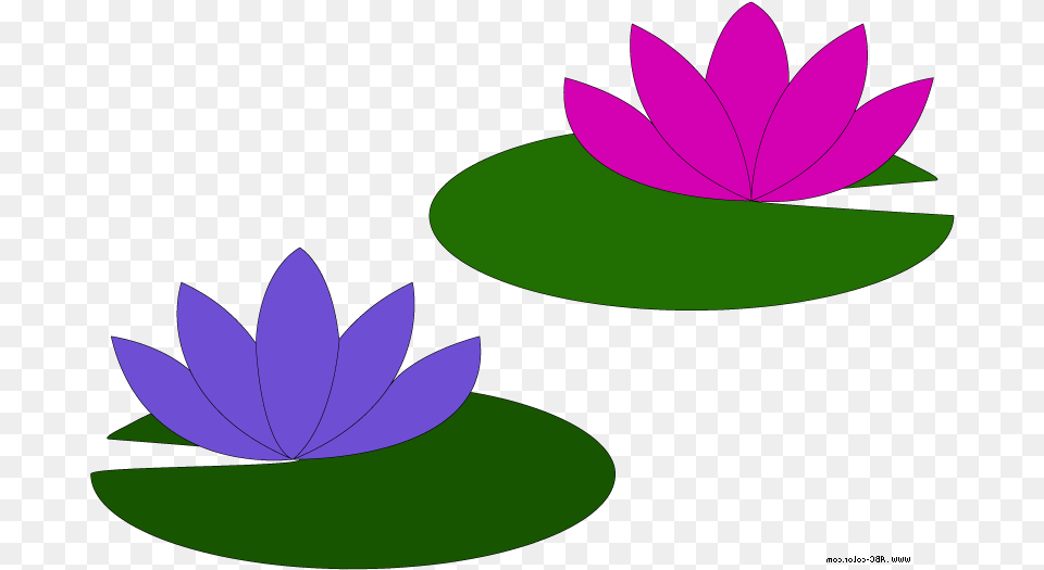 Lily Pad Flower Clipart Water Lily Lily Pad Clip Art, Plant, Purple, Pond Lily, Petal Png