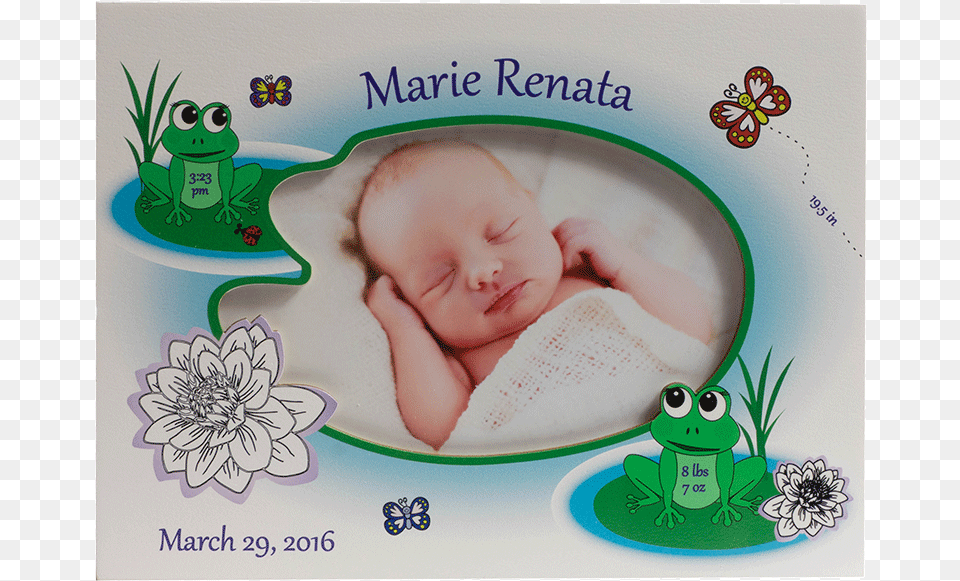 Lily Pad Friends Baby, Person, Face, Head, Newborn Png