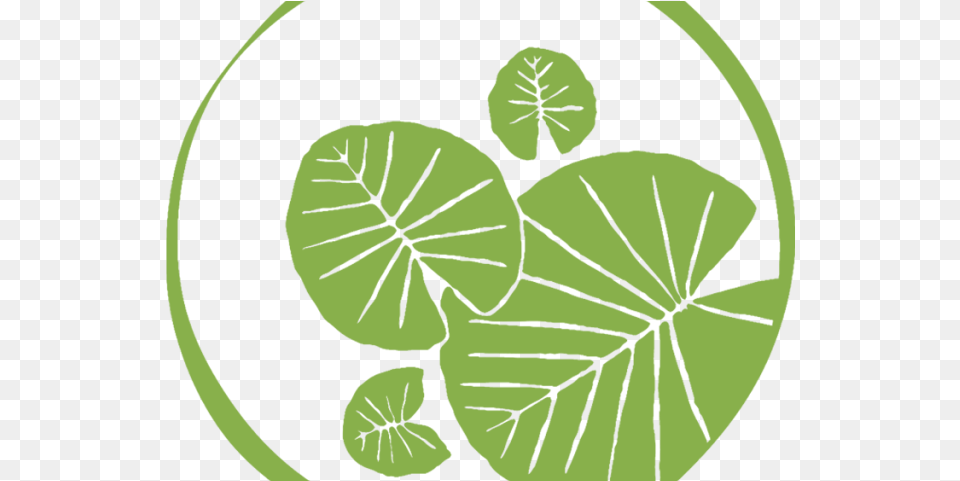 Lily Pad Lily Pad Logo, Green, Leaf, Plant, Vegetation Free Png Download