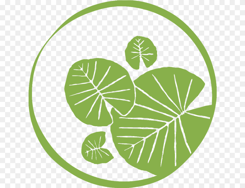 Lily Pad Logo 3 By Kelly Lily Pad Logo, Green, Leaf, Plant, Vegetation Png