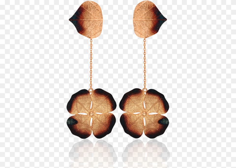 Lily Pad With Ember Detail Earrings Earrings, Accessories, Earring, Jewelry, Leaf Free Transparent Png