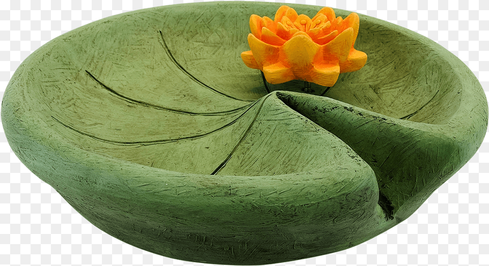 Lily Pad With Water Sacred Lotus, Flower, Plant, Rose, Furniture Free Png Download