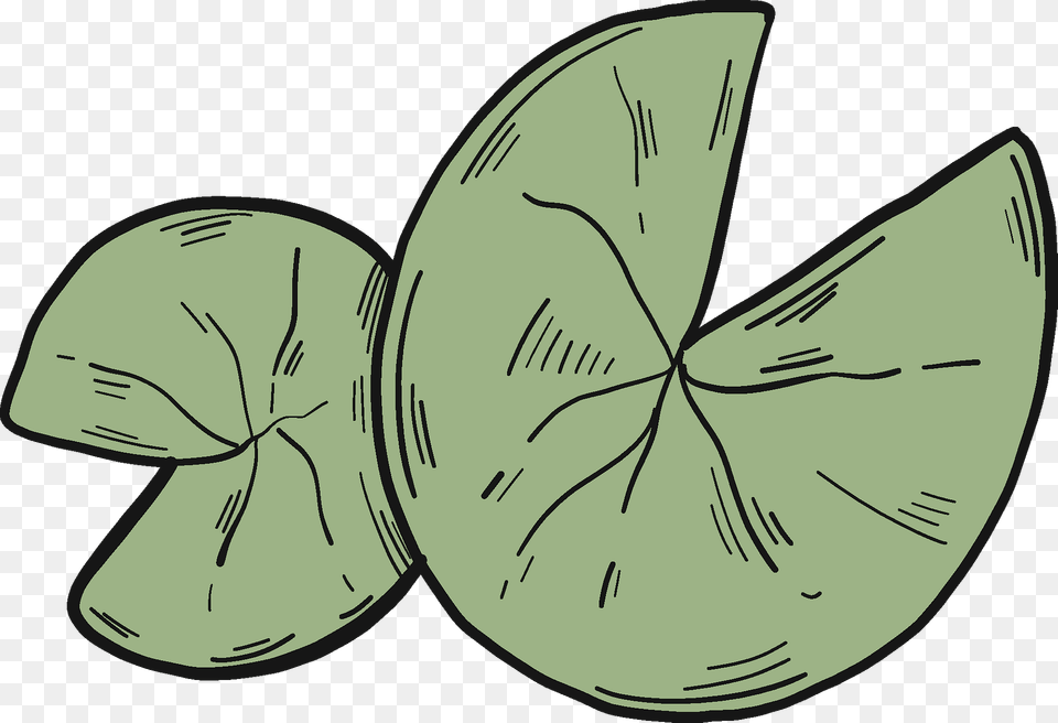 Lily Pads Clipart, Leaf, Plant, Food, Fruit Free Png