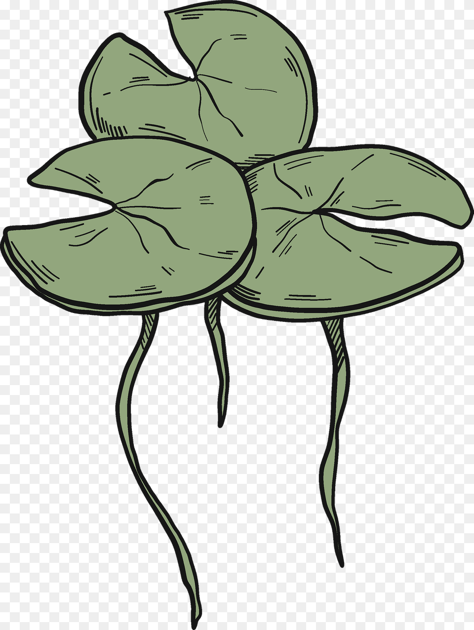 Lily Pads Clipart, Leaf, Plant, Art, Person Free Png Download