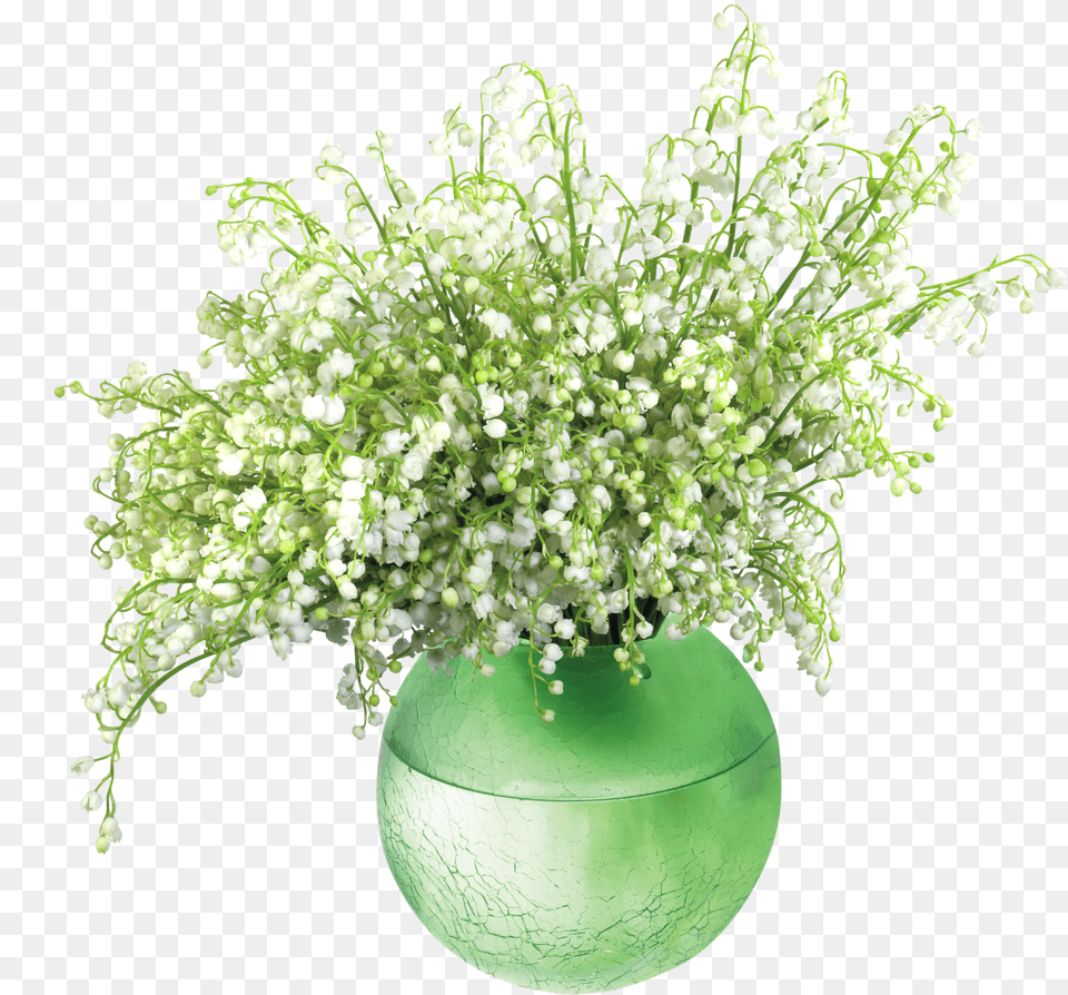 Lily Transparent Vase Vase De Fleure Deco Green Vase White Flower Png Image