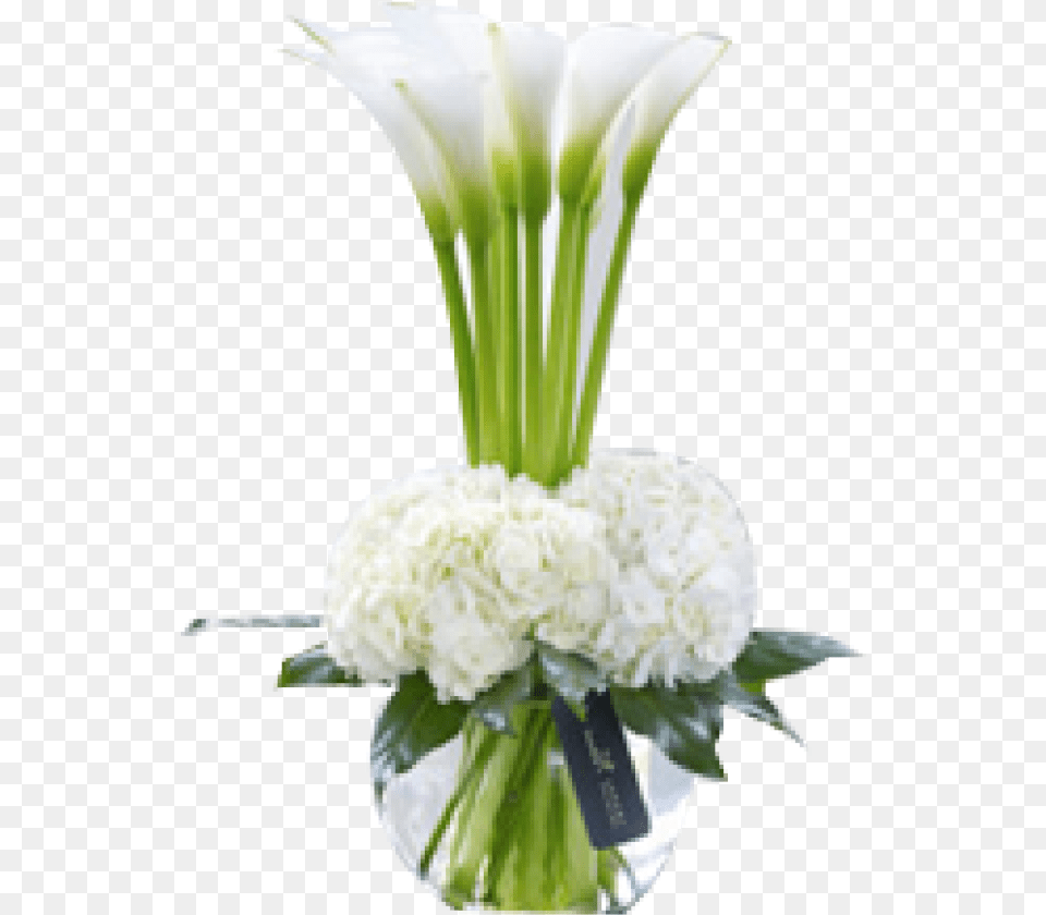Lily Vase White Calla Lily Arrangements Calla Lily And Hydrangea, Art, Plant, Pattern, Graphics Free Transparent Png