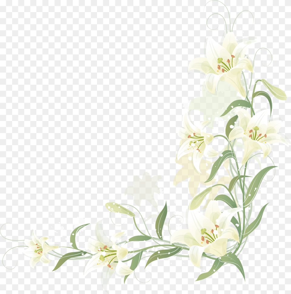 Lily Vector Border Transparent Lily Flower Border, Art, Floral Design, Graphics, Pattern Free Png