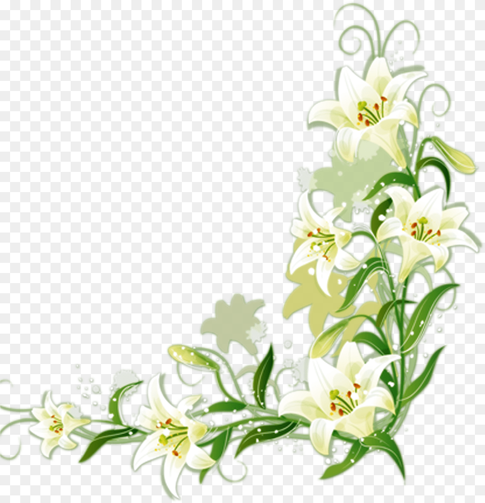 Lily Vector Border White Flower Border, Art, Floral Design, Graphics, Pattern Free Png Download
