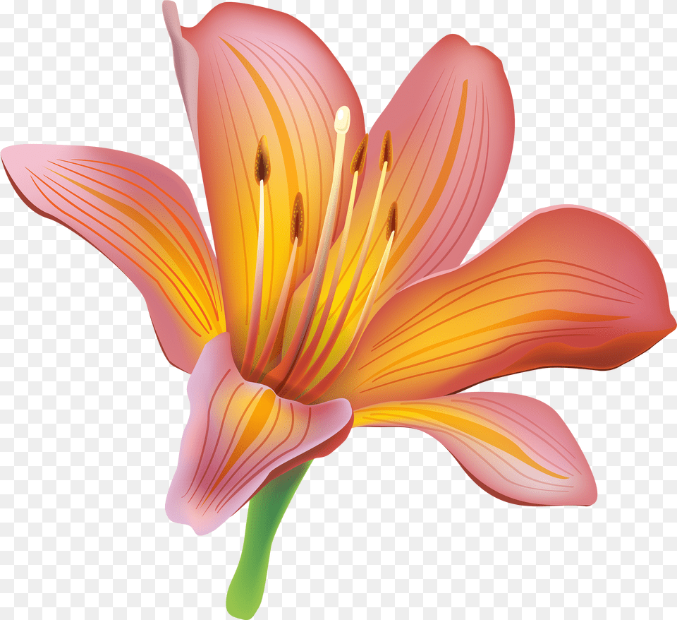 Lily Vintage Transparent Clipart Transparent Lilies Clipart, Flower, Plant, Anther, Petal Free Png Download