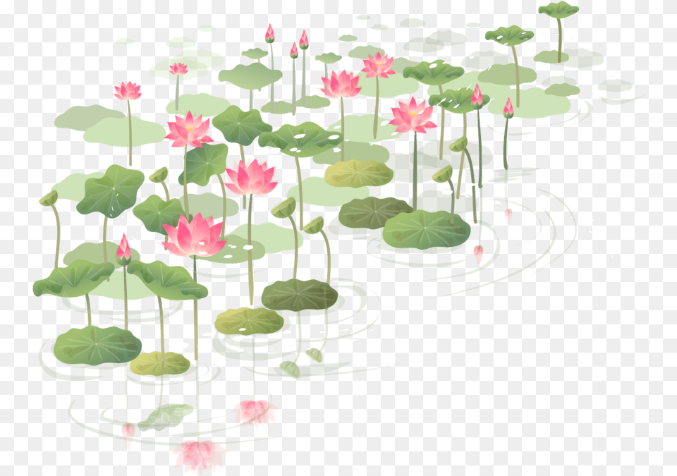 Lilypad Sticker Nn Hoa Sen Vector, Flower, Plant, Lily, Nature Free Transparent Png