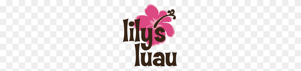 Lilys Luau, Flower, Plant, Dynamite, Text Free Transparent Png