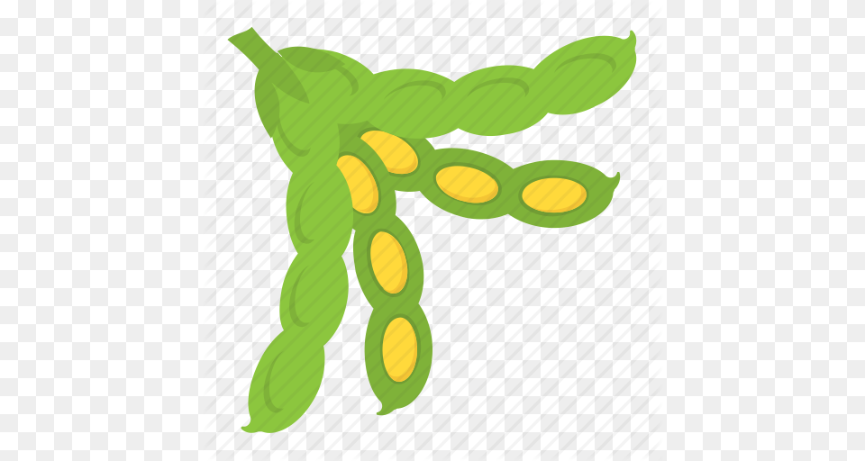 Lima Beans Clipart Green Food, Produce, Bean, Plant, Vegetable Png