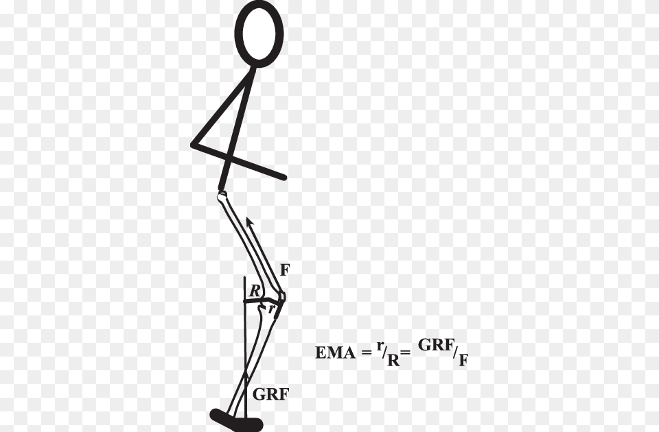 Limb Muscle Mechanical Advantage Is Defined As The Mechanical Advantage, Lamp, Lighting Png Image