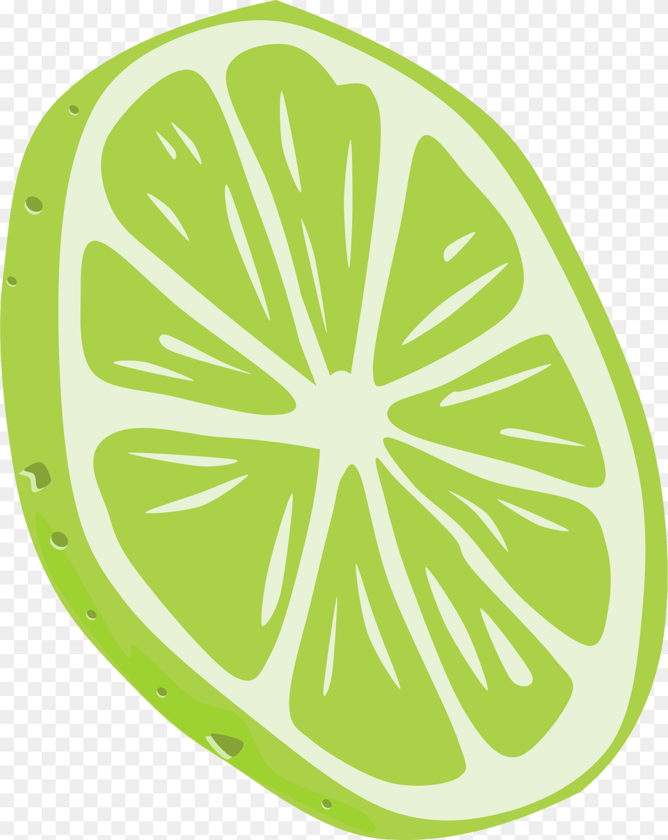 Lime, Citrus Fruit, Food, Fruit, Plant Png Image