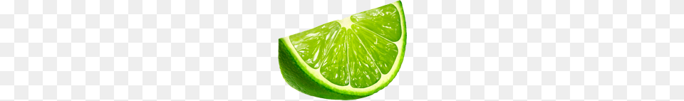 Lime, Citrus Fruit, Food, Fruit, Plant Free Transparent Png