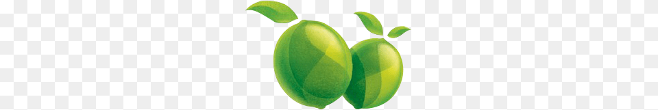 Lime, Citrus Fruit, Food, Fruit, Green Free Png Download