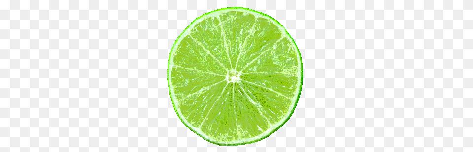 Lime, Citrus Fruit, Food, Fruit, Plant Png