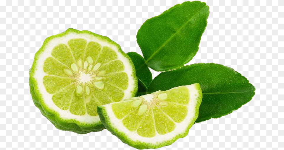 Lime, Citrus Fruit, Food, Fruit, Plant Png Image