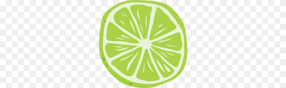 Lime, Citrus Fruit, Food, Fruit, Plant Png Image