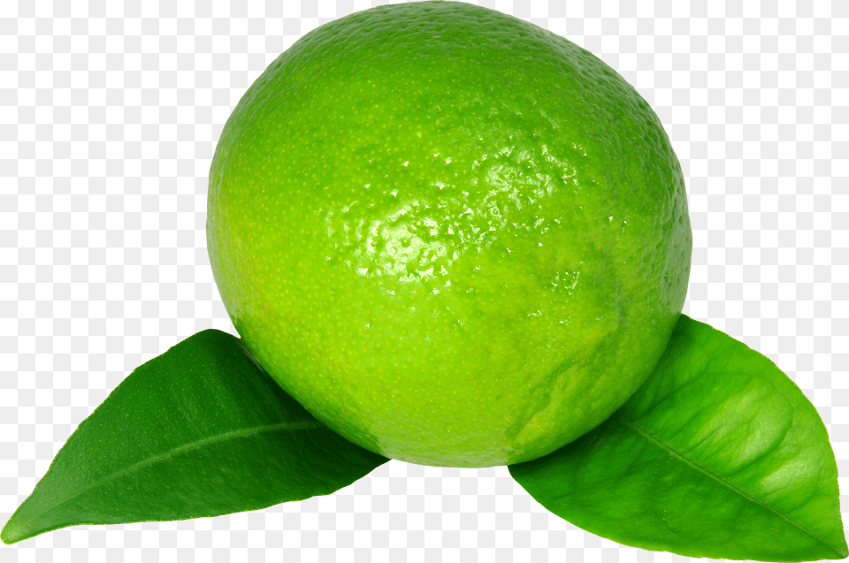 Lime Free Png Download