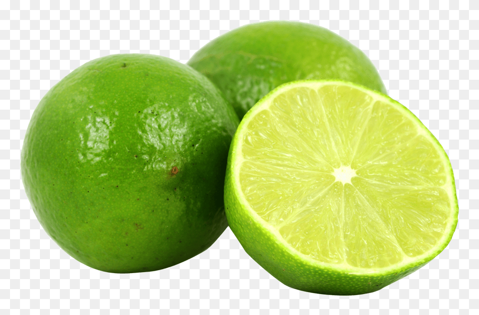 Lime, Citrus Fruit, Food, Fruit, Plant Png Image