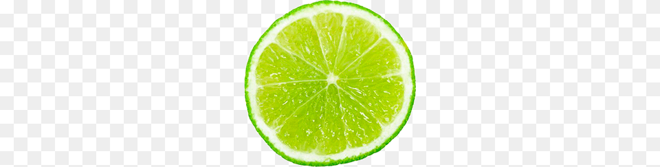 Lime, Citrus Fruit, Food, Fruit, Plant Free Png