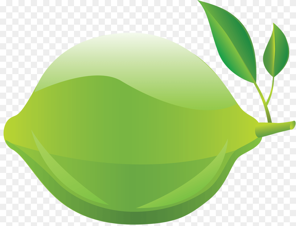 Lime, Leaf, Food, Fruit, Produce Free Png Download