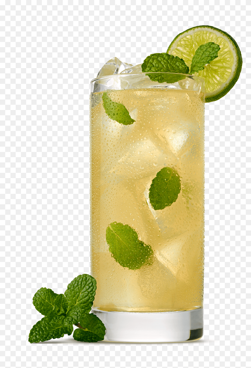 Lime A Rita Mojito Mojito With Fresh Lime, Alcohol, Plant, Mint, Herbs Png Image