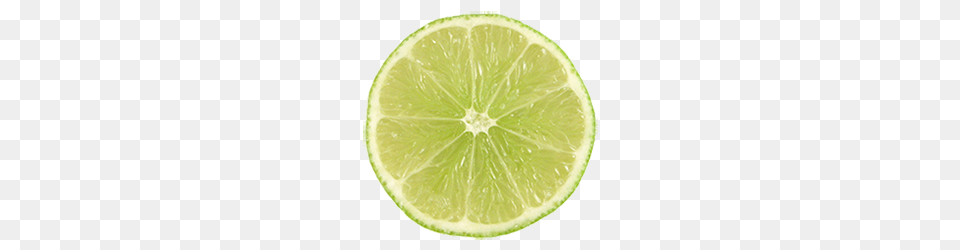 Lime Circle Slice, Citrus Fruit, Food, Fruit, Plant Free Png Download