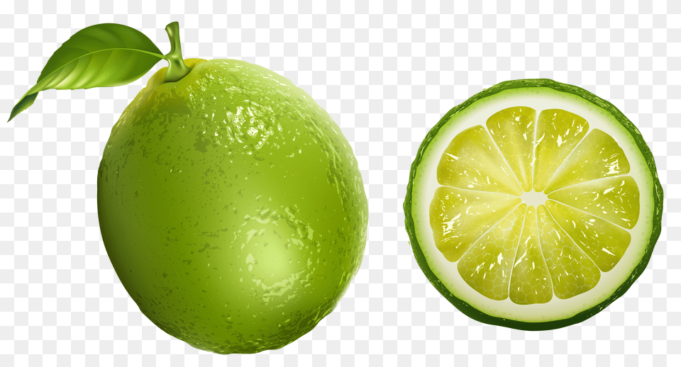 Lime Clipart, Citrus Fruit, Food, Fruit, Plant Free Png