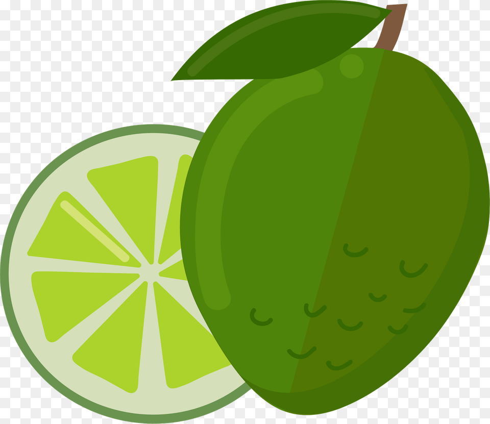 Lime Clipart, Citrus Fruit, Food, Fruit, Plant Png Image